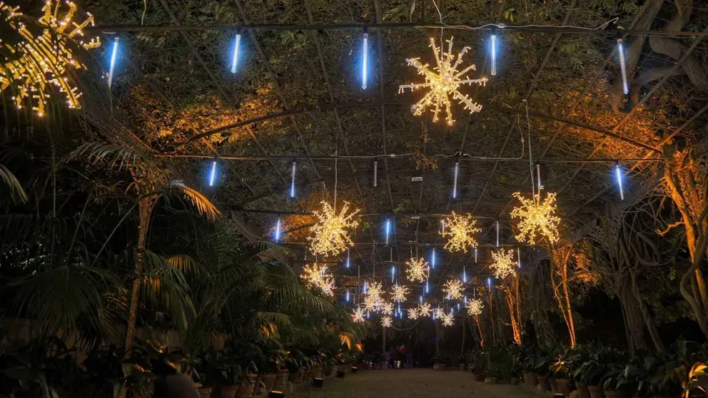 Jard&iacute;n Bot&aacute;nico de La Concepci&oacute;n de M&aacute;laga (Navidad)