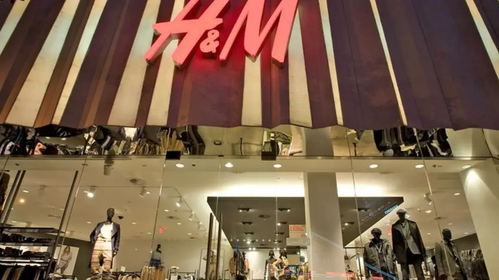 Las rebajas llegan a un bolso de H&M en que puedes llevar tus mascotas y no pasan fr&iacute;o