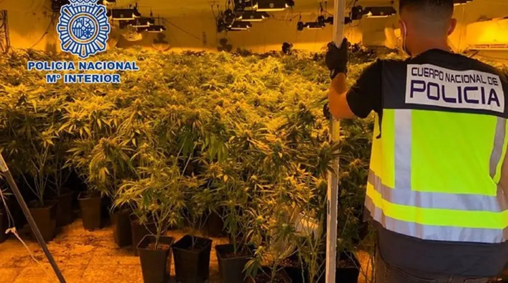 11 detenidos en Almer&iacute;a tras una operaci&oacute;n contra el tr&aacute;fico de drogas en 7 casas de El Quemadero