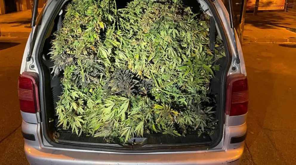 Sorprendidos en Almer&iacute;a con marihuana en el coche tras intentar huir de la Polic&iacute;a