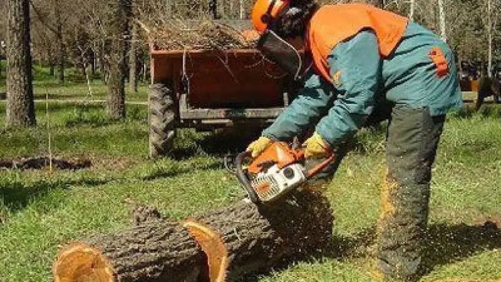 Herido un trabajador tras sufrir un accidente con una motosierra en un olivar de Jimena