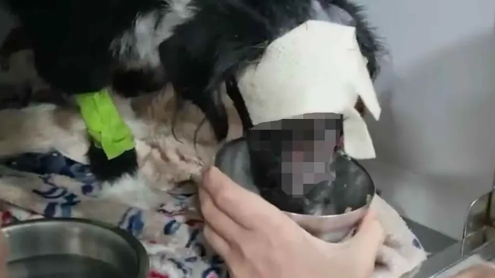 Mireya recibiendo la atenci&oacute;n por parte de una de sus cuidadoras