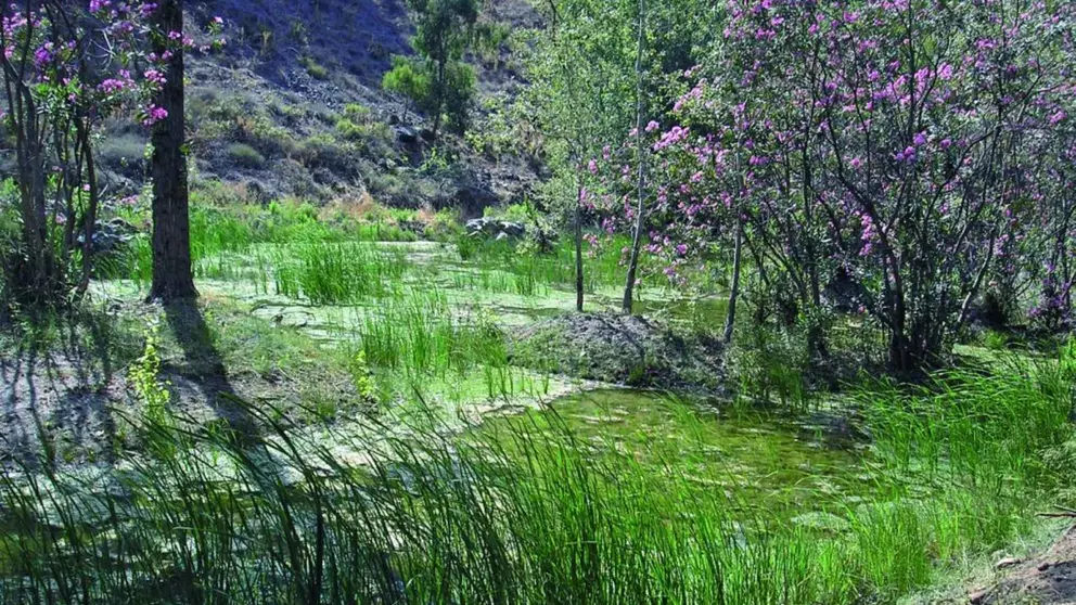 Parque Natural de los Montes de M&aacute;laga