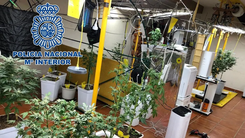 Transforman y adulteran droga antes de venderla en Almer&iacute;a