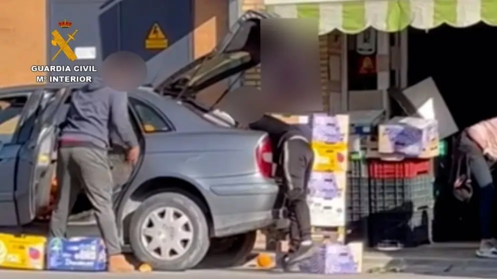 Roban m&aacute;s de 5.500 kilos de frutas en varias fincas de la provincia de Sevilla