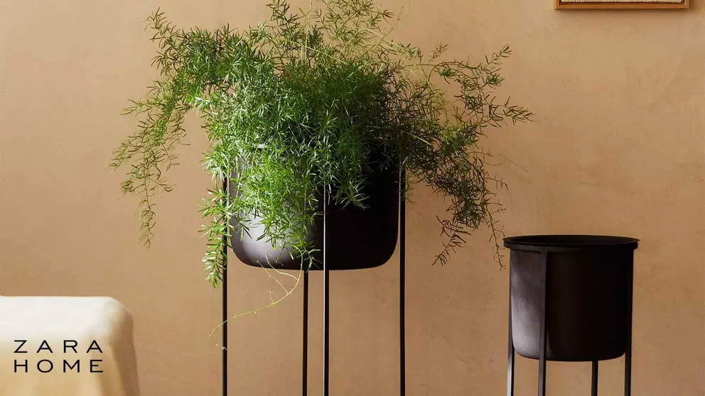 El macetero que pega en tu sal&oacute;n y da sensaci&oacute;n de armon&iacute;a a la casa est&aacute; en Zara Home
