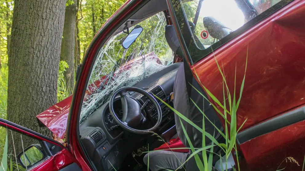 Un coche con 3 ocupantes se sale de la carretera en Ja&eacute;n