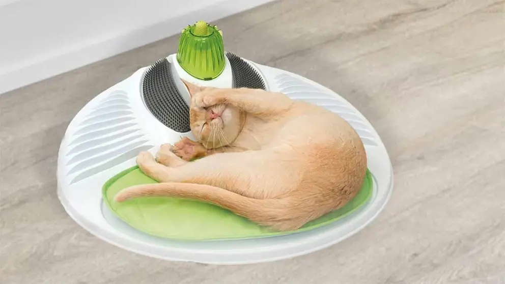 Spa (centro de bienestar) para gatos de Lidl