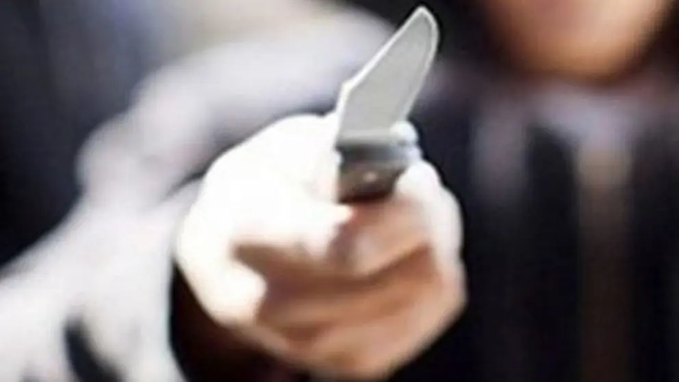 A la c&aacute;rcel por apu&ntilde;alar a 2 hombres durante una pelea en Pe&ntilde;arroya