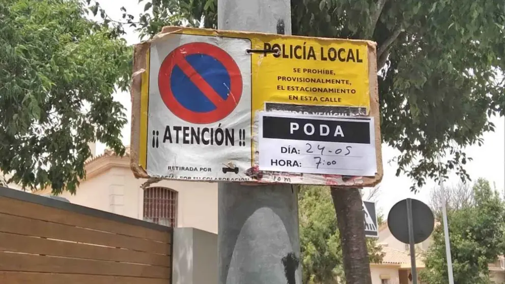 Poda de &aacute;rboles en Jerez