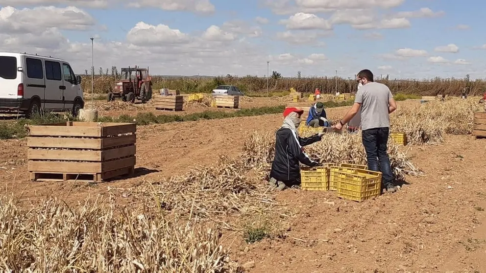 Trata miserable de seres humanos. As&iacute; explotaba a sus trabajadores una red asentada en C&oacute;rdoba