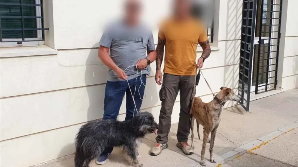 Perros encontrados en Jerez por agentes de la Polic&iacute;a Local