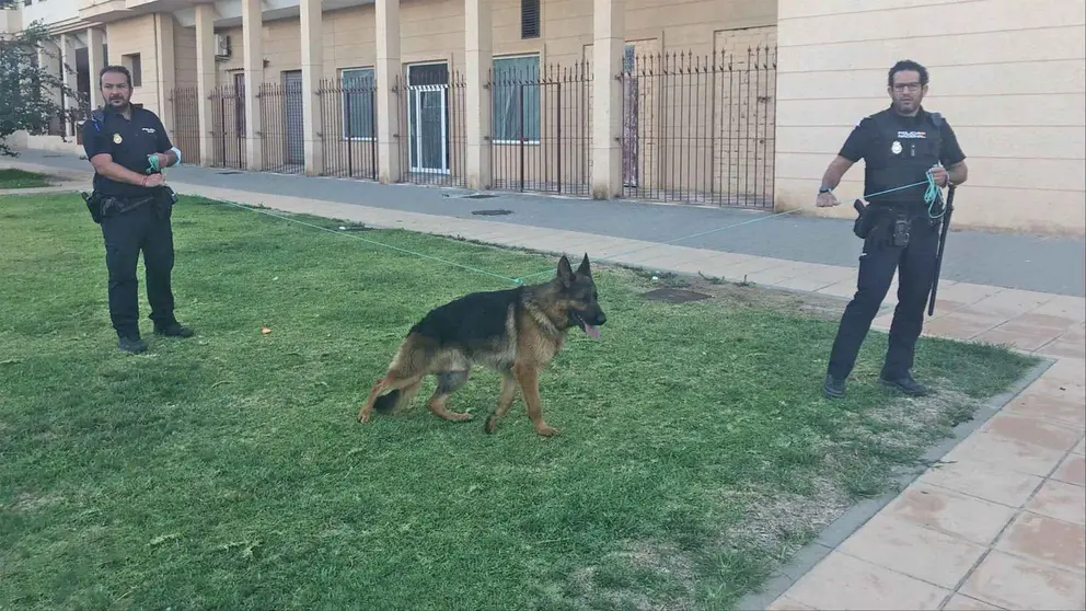 Una ni&ntilde;a herida tras ser atacada por un pastor alem&aacute;n en Jerez (2)