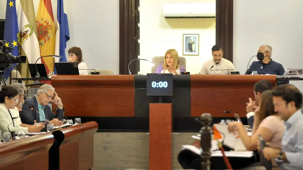 Pleno ordinario del Ayuntamiento de Jerez