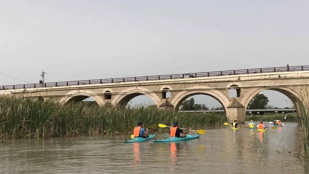 Ruta por el r&iacute;o Guadalete