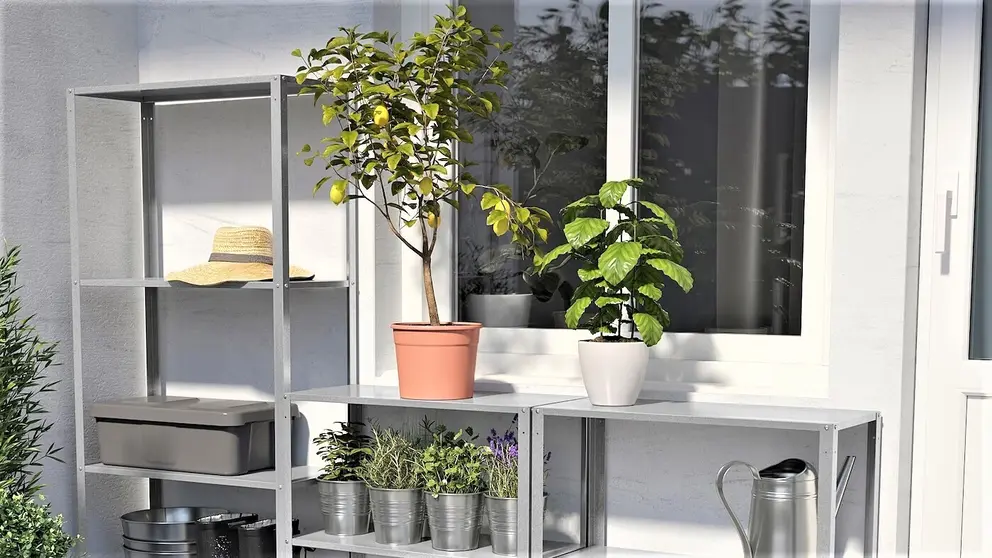 Esta es la estanter&iacute;a de Ikea que te sirve para la terraza, la cocina o el ba&ntilde;o: no se da&ntilde;a con el agua