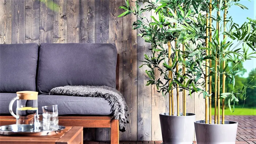 3 plantas altas que dan toque verde a cualquier rinc&oacute;n de tu casa y encuentras en Ikea