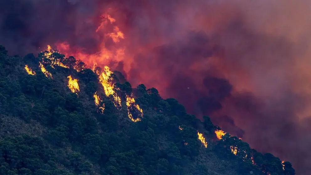 Los incendios queman en 2022 en Andaluc&iacute;a el doble de hect&aacute;reas de la media de los &uacute;ltimos 10 a&ntilde;os