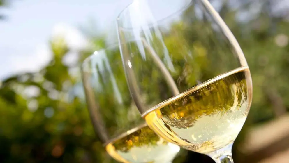 Vino blanco