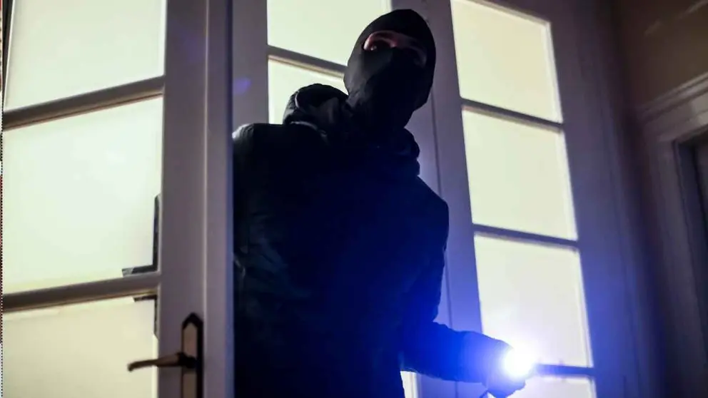 Un ladr&oacute;n en una foto de archivo