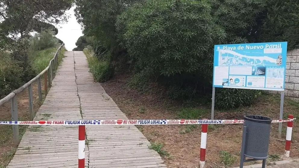 Cae un pino sobre la terraza de un bar lleno de personas en Cartaya (Huelva)