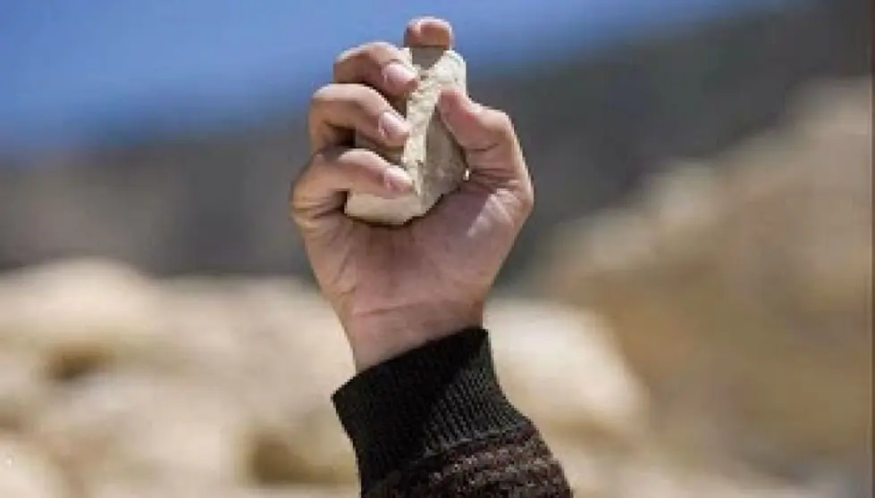 Matan a un joven de una pedrada en la cabeza tras una discusi&oacute;n en Granada. Estas son las causas