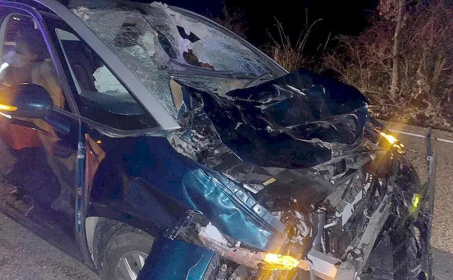 As&iacute; han sido los accidentes provocados por una vaca en la autov&iacute;a A-92 en Archidona (M&aacute;laga)