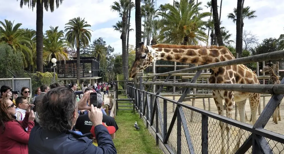 Un vigilante municipal quedaba con menores dentro del Zoo de Jerez cuando cerraban