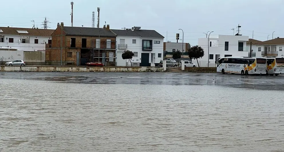 Estos son los grandes beneficios que dejan las lluvias en Huelva. Alegr&iacute;a en v&iacute;spera de Navidad