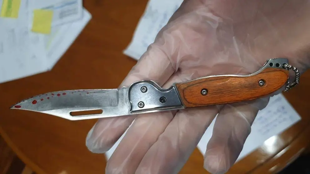 Todo lo que se sabe sobre la pelea a navajazos vinculada a una agresi&oacute;n sexual en Almer&iacute;a