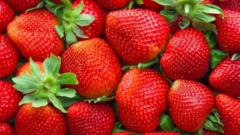 Estos son los 5 grandes beneficios por los que debes comer fresa de Huelva