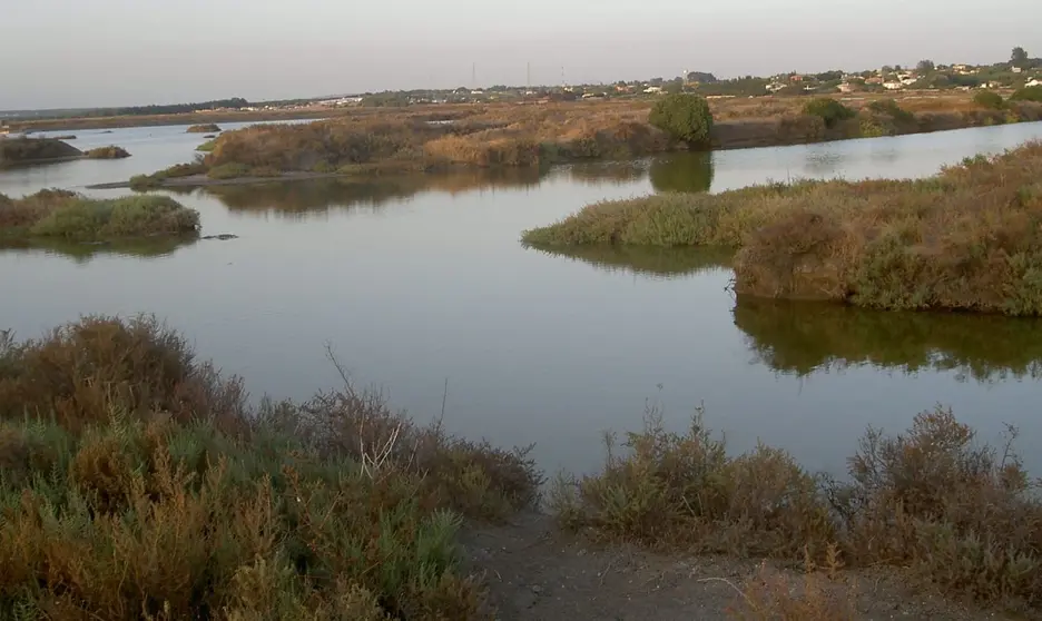 Hallan el cuerpo sin vida del hombre de 87 a&ntilde;os desaparecido a finales de mayo en Chiclana