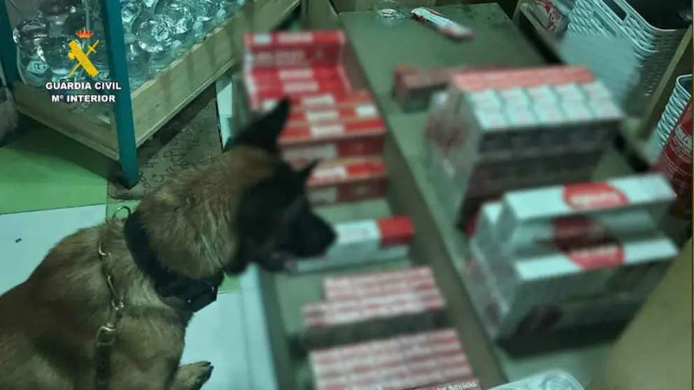 Tabaco de contrabando en un kiosko de Jerez
