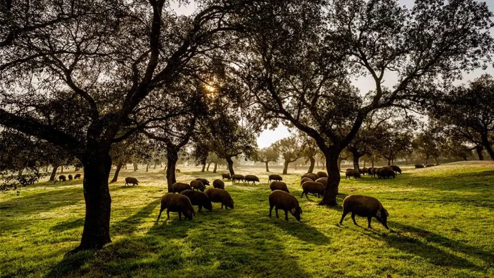 5 lugares maravillosos para visitar y perderse en oto&ntilde;o en Andaluc&iacute;a