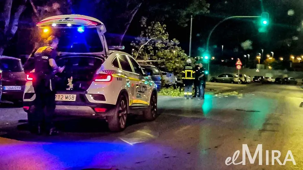 Cae una rama de un &aacute;rbol sobre un coche en Jerez