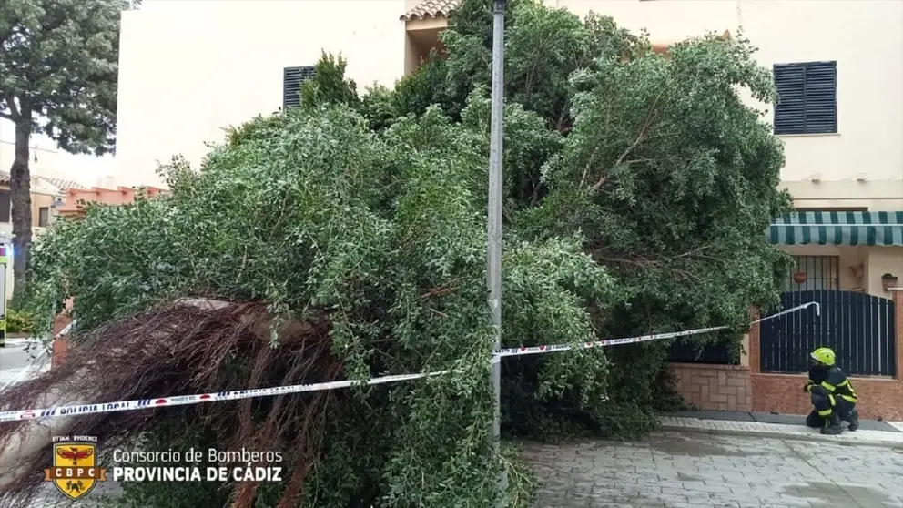 El paso de la borrasca Aline se ceba con C&aacute;diz M&uacute;ltiples destrozos y rescate de un kitesurfista