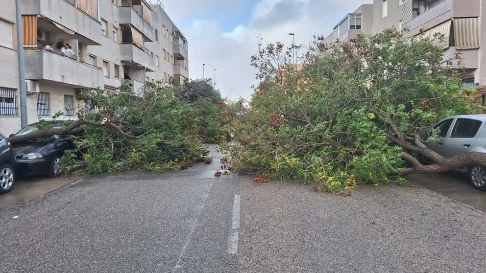 La borrasca Bernard arrasa con todo a su paso por Jerez