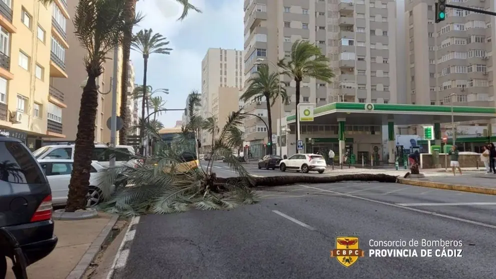 Estos son todos los destrozos que deja la borrasca Bernard en la provincia de C&aacute;diz