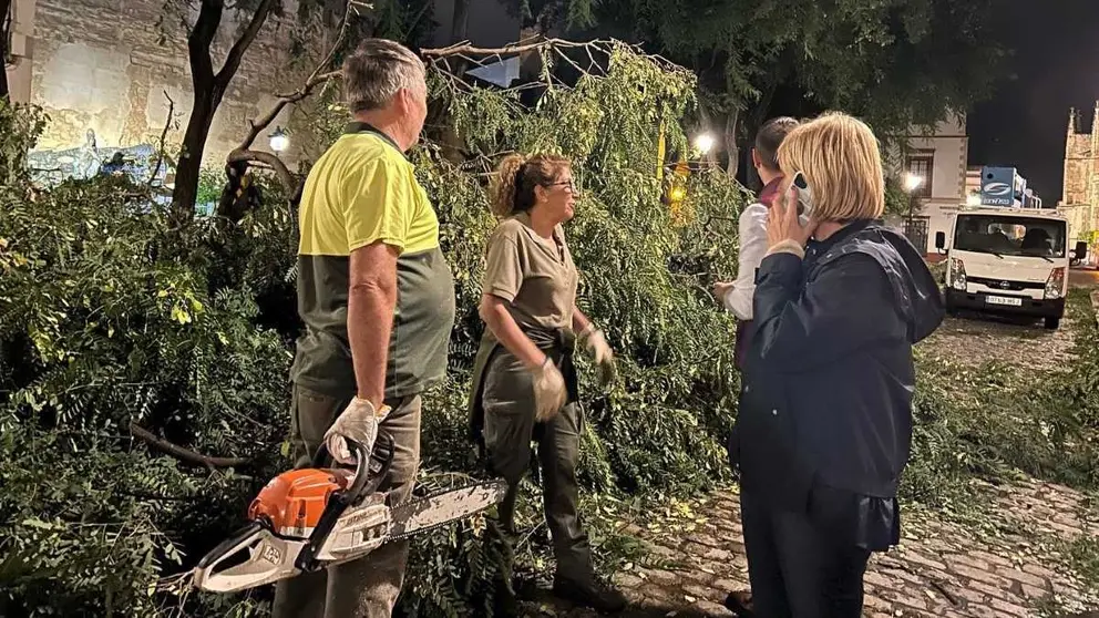 Garc&iacute;a-Pelayo durante una visita a los trabajos tras el paso de la borrasca Bernard por Jerez