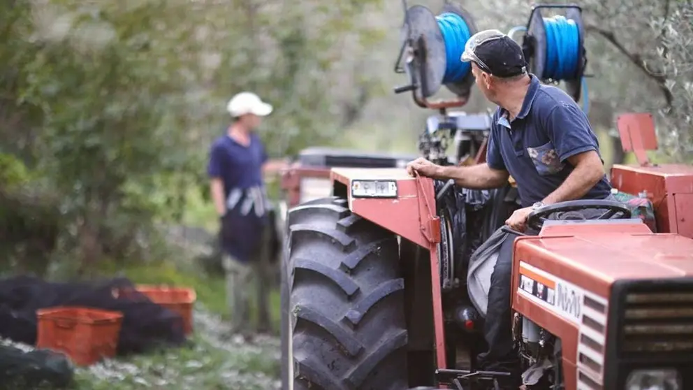 El 'tijeretazo' de Pedro S&aacute;nchez a Ja&eacute;n. El campo pierde hasta 23 millones con la nueva PAC