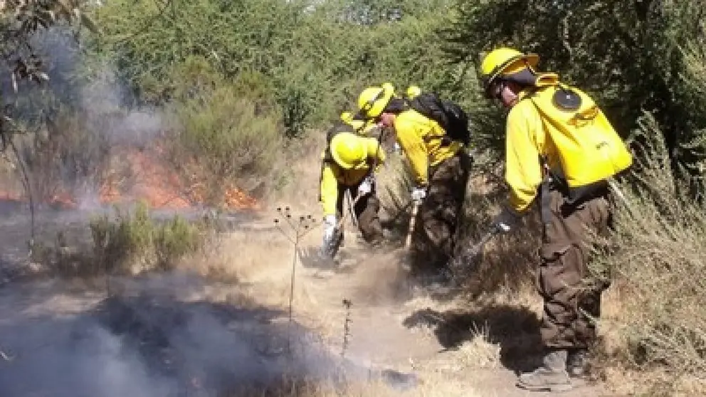El grupo TRAGSA necesita personal en Andaluc&iacute;a. Tipo de contrato y sueldos