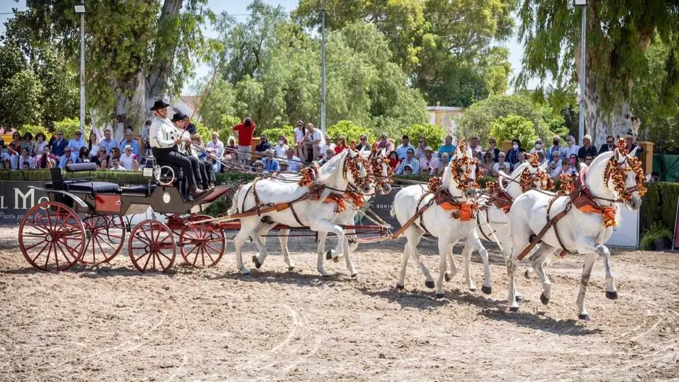 Concurso de Exhibici&oacute;n de Enganches | Foto: Club de Enganches de Jerez