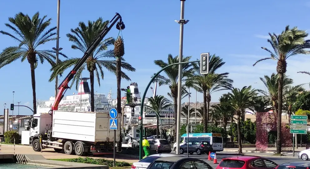 Estas son las graves consecuencias personales que deja el temporal de viento en Almer&iacute;a (1)