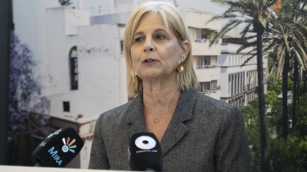 Garc&iacute;a-Pelayo en rueda de prensa | El MIRA