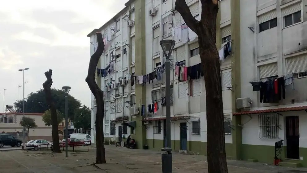 Santo Tom&aacute;s de Aquino