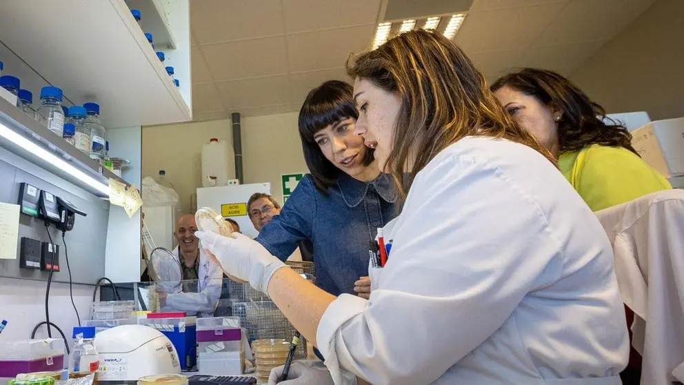 Andaluc&iacute;a destina 10,2 millones para incorporar a 42 investigadores mundiales de prestigio