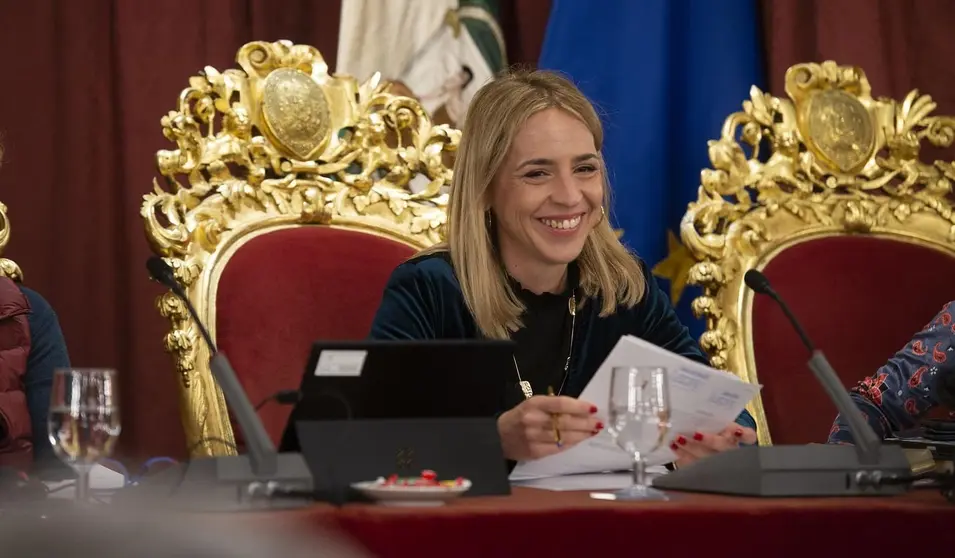 La Diputaci&oacute;n de C&aacute;diz aprueba el plan de Servicios Sociales, Familias e Igualdad para 2024