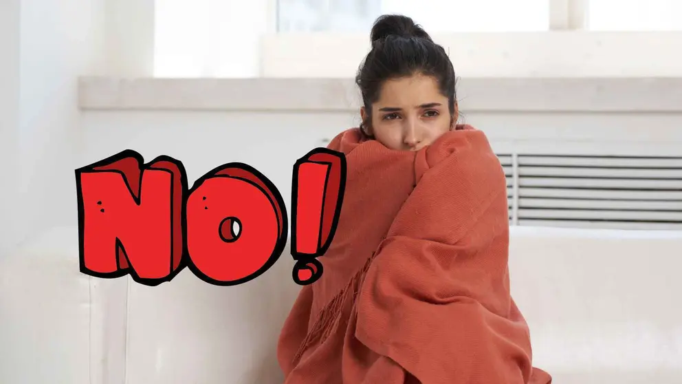 Carrefour dice adi&oacute;s al fr&iacute;o y regresan con el calefactor cl&aacute;sico y barato para no temblar en invierno