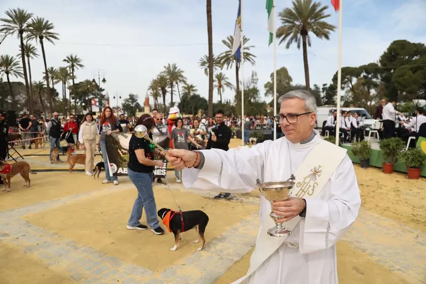 Festividad de San Ant&oacute;n 2024 en Jerez | Cristo Garc&iacute;a