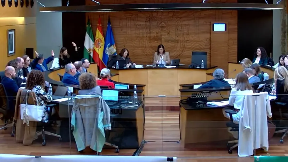 El PSOE de San Fernando rechaza que se den m&aacute;s medios a la Guardia Civil para luchar contra los narcos